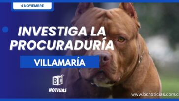 Procuraduría investiga la muerte de una niña en Villamaría que fue atacada por un pitbull
