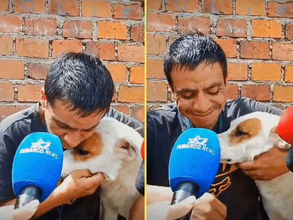 “Que nos pongamos la mano en el corazón para ellos” Pedro, cuida a 11 perros en Pasto