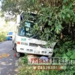 Semoviente causó accidente de ruta escolar en Nunchía