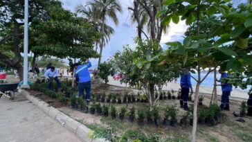 Siembran más de 4 mil plantas ornamentales en el Camellón de la Bahía