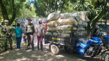 Sujetos capturados tras el aprovechamiento ilícito de recursos naturales 