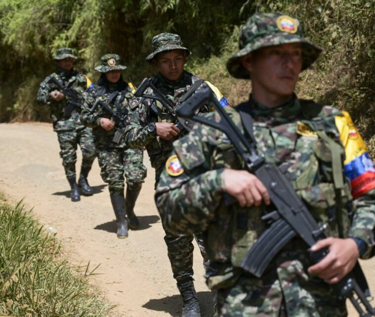 Video: disidencias de las Farc dirigieron reunión con 500 campesinos en La Plata, Huila