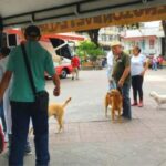 ¡Ellos se lo merecen! Durante 4 días, el bienestar de tus mascotas será una prioridad