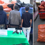4 hombres fueron capturados en flagrancia robando productos agrícolas en Barcelona, Calarcá