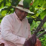 Alianza de Usaid y empresas privadas benefició 320 cacaoteros en tres municipios