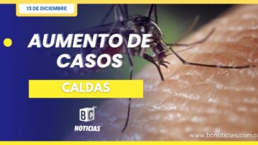 Aumentan los casos de dengue en Caldas