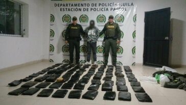 Autoridades reportaron nueva incautación de marihuana ilegal en La Plata