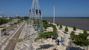 Barranquilla tendrá alumbrado: instalan 5 árboles de 14 metros en el Gran Malecón
