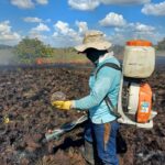 Brigada de InverBosques controla incendio y salva animales en Vichada