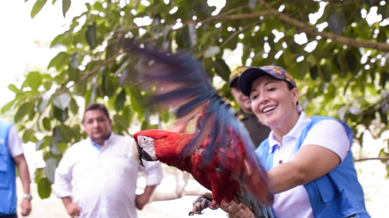 Corporinoquia Avanza en la Recuperación de la Fauna Silvestre: Granja Uary