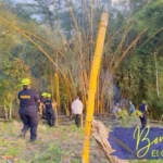 Atención de incendio en El Colegio