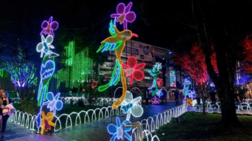 Delincuentes están vandalizando el alumbrado navideño en Armenia