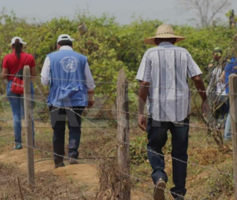 Despojo de tierras: condenados notario y ex gerente del fondo ganadero de Córdoba