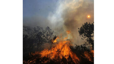En el 2023 incendios en el Parque Isla Salamanca provocaron pérdidas de 176 hectáreas
