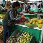 Este domingo, último mercado campesino del año en Palestina