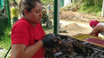 Impulsan la productividad de 182 mujeres campesinas en San Agustín