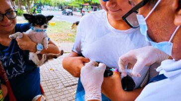 Más de 36 mil perros y gatos han sido vacunados contra la rabia durante este 2023 