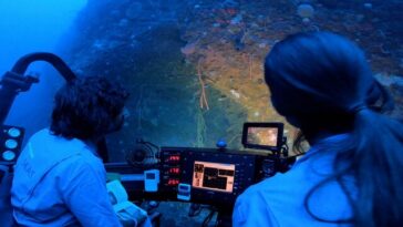 National Geographic vuelve a explorar los océanos colombianos National Geographic Pristine Seas tiene preparado un documental para celebrar la protección de más del 30% de los océanos de Colombia.