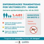 Nuevos casos de dengue se registraron en Casanare