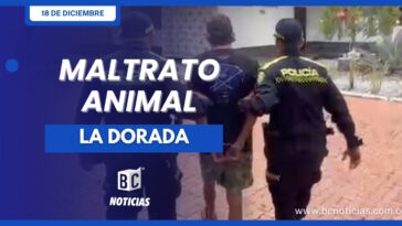 Policía capturó a un hombre por arrojar a un perro desde un cuarto piso en La Dorada