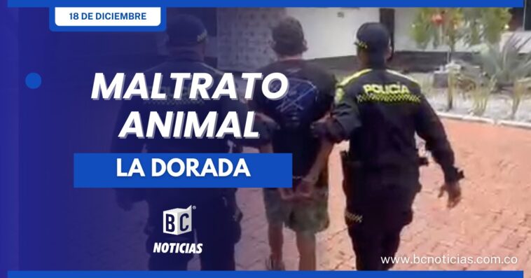 Policía capturó a un hombre por arrojar a un perro desde un cuarto piso en La Dorada