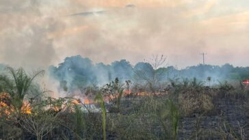 28 incendios forestales se han presentado en Yopal