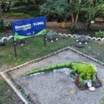 Administración municipal pone en marcha plan de acción para la protección del parque La Iguana