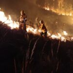 Alerta por aumento de incendios forestales en el país Entre el 3 de noviembre de 2023 y ayer, se han presentado 237 incendios forestales en el país, en el marco del fenómeno del Niño, según informó la Unidad de Gestión del Riesgo de Desastres (UNGRD).