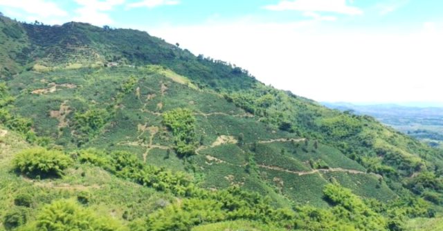 Alerta por estafas en trámites para la titulación de tierras en la Villa del Cacique