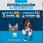 Anuncian jornadas gratuitas de esterilización para perros y gatos 