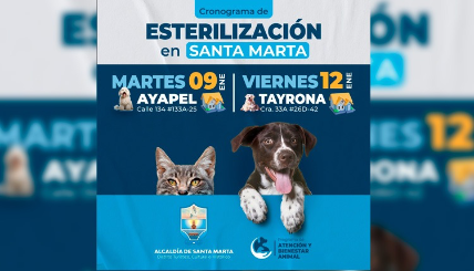 Anuncian jornadas gratuitas de esterilización para perros y gatos 