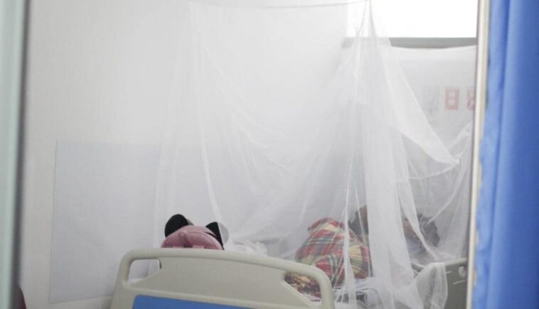 dengue bebe murió