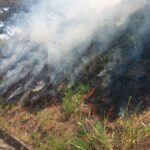 Bomberos de Arauca y Risaralda atendieron incendio de cobertura vegetal