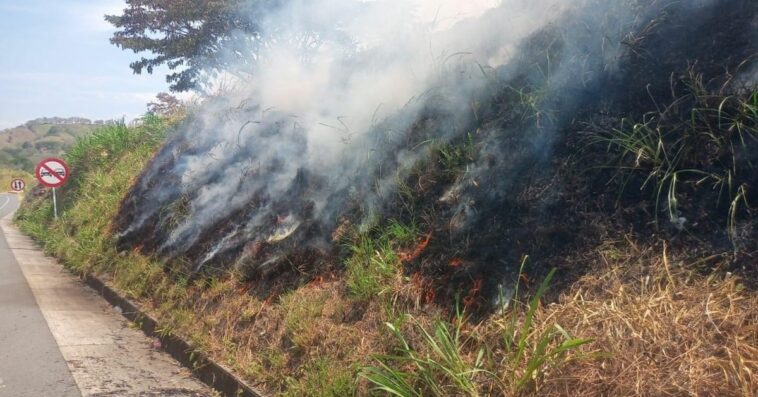 Bomberos de Arauca y Risaralda atendieron incendio de cobertura vegetal