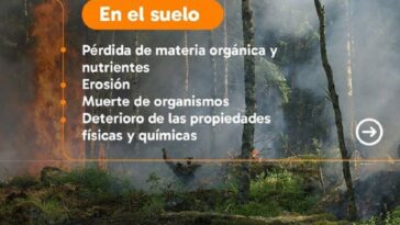 CORPONOR Lanza Campaña Preventiva: “#Elniñonoesunjuego” Ante Amenaza De Incendios Forestales En Norte De Santander