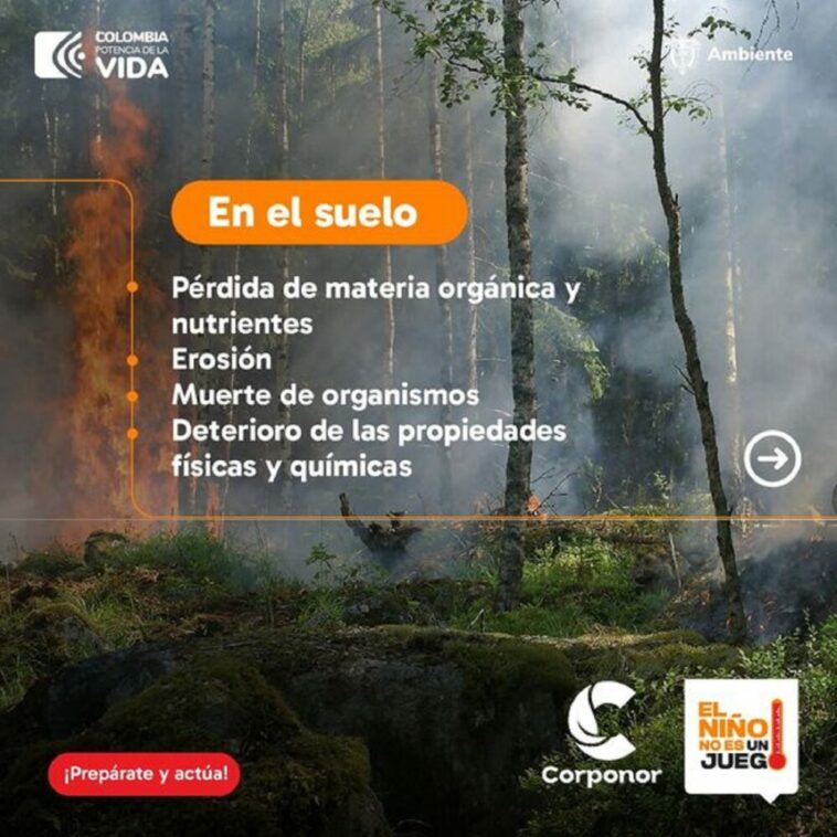 CORPONOR Lanza Campaña Preventiva: “#Elniñonoesunjuego” Ante Amenaza De Incendios Forestales En Norte De Santander