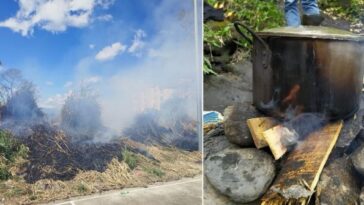 Cinco incendios de cobertura vegetal se han registrado en Armenia