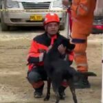 Conmovedor: rescatan a perrito sepultado por los escombros en Chocó En medio de la desolación que dejó la reciente tragedia en Chocó, un perrito fue rescatado este domingo, luego de haber pasado dos días bajo el lodo y los escombros, convirtiéndose así en un motivo de esperanza para encontrar con vida a las personas que aún permanecen desaparecidas.