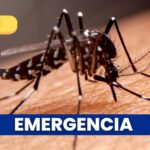 Consejo Departamental de Gestión del Riesgo declara estado de emergencia por brote de dengue en Caldas