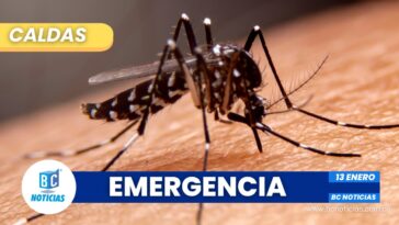 Consejo Departamental de Gestión del Riesgo declara estado de emergencia por brote de dengue en Caldas