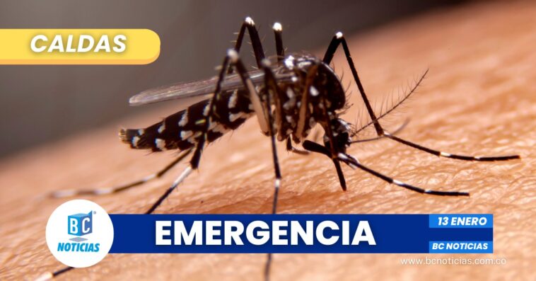Consejo Departamental de Gestión del Riesgo declara estado de emergencia por brote de dengue en Caldas