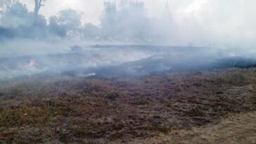 Controlado incendio forestal en Bojacá, Cundinamarca