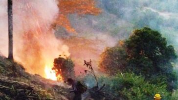 Controlaron incendio de capa vegetal que colocaba en riesgo a varias viviendas en Chinchiná