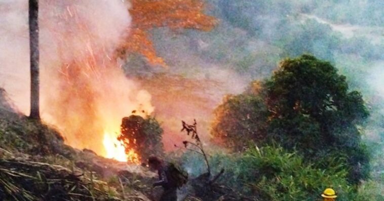Controlaron incendio de capa vegetal que colocaba en riesgo a varias viviendas en Chinchiná