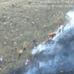 De acuerdo con organismos de socorro en Cumbal, varias especies como lagartos, conejos y ratones resultaron afectadas por el incendio en zona de páramo. 