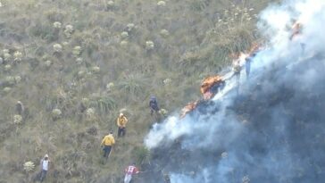 De acuerdo con organismos de socorro en Cumbal, varias especies como lagartos, conejos y ratones resultaron afectadas por el incendio en zona de páramo. 