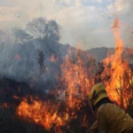 Cundinamarca, balance, incendios forestales