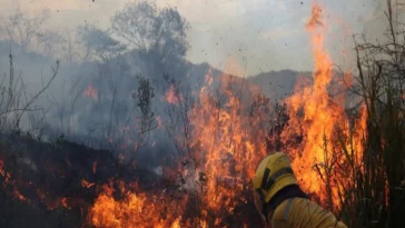 Cundinamarca, balance, incendios forestales