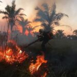 Devastador incendio en zona rural de Maní
