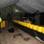 Ejército Nacional Descubre Complejo Cocalero Evaluado en Más de 7000 Millones de Pesos